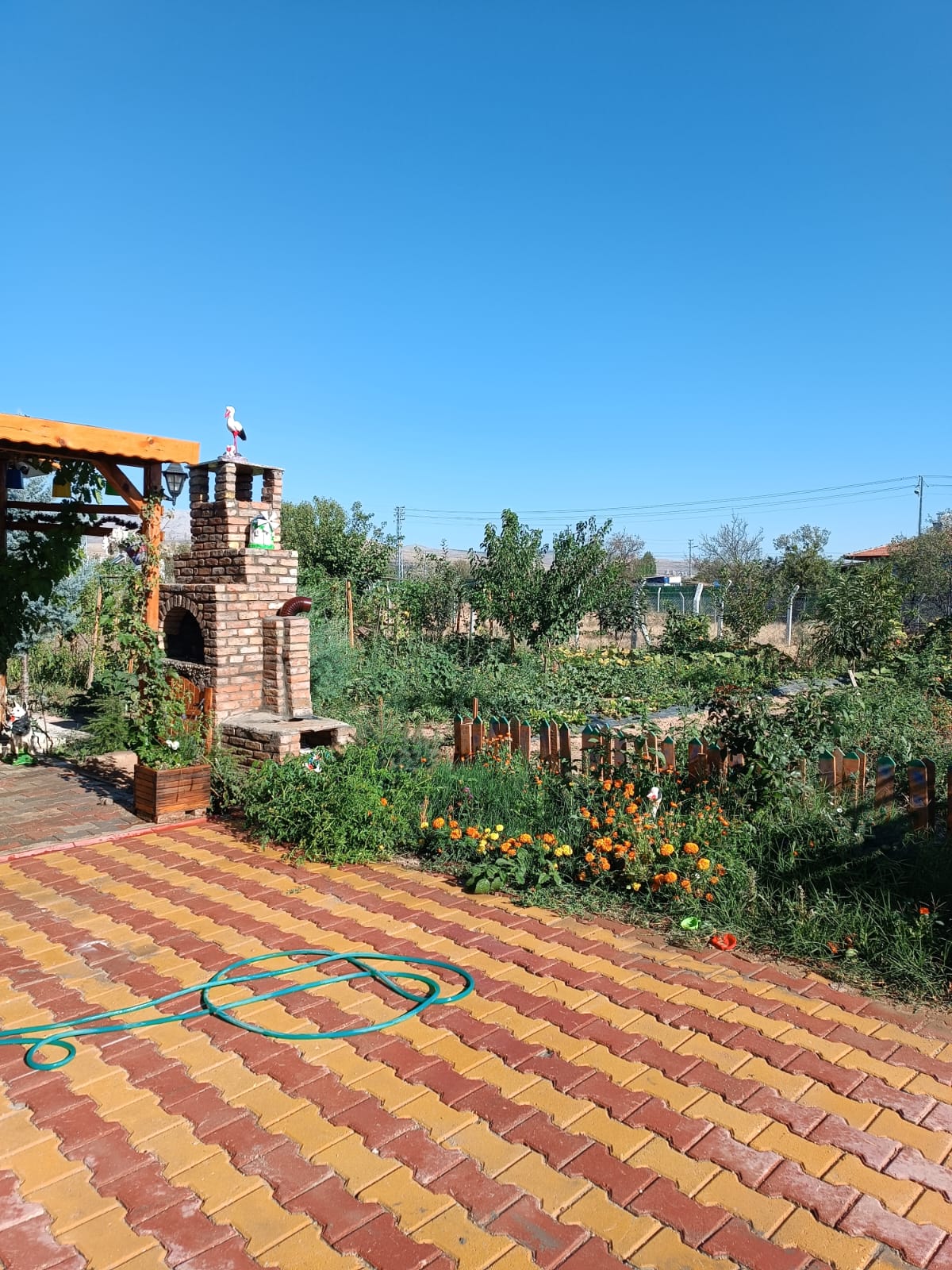 İÇİNDE EVİ ELEKTRİĞİ SUYU OLAN HAZIR KURULU BAHÇE - KONYA MERAM fotoğraf 20